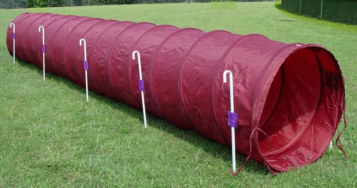 14' Tunnel with Stakes and a Carry bag