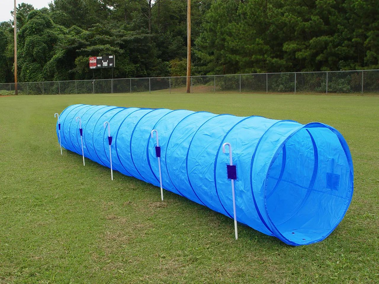 14' Tunnel with Stakes and a Carry bag