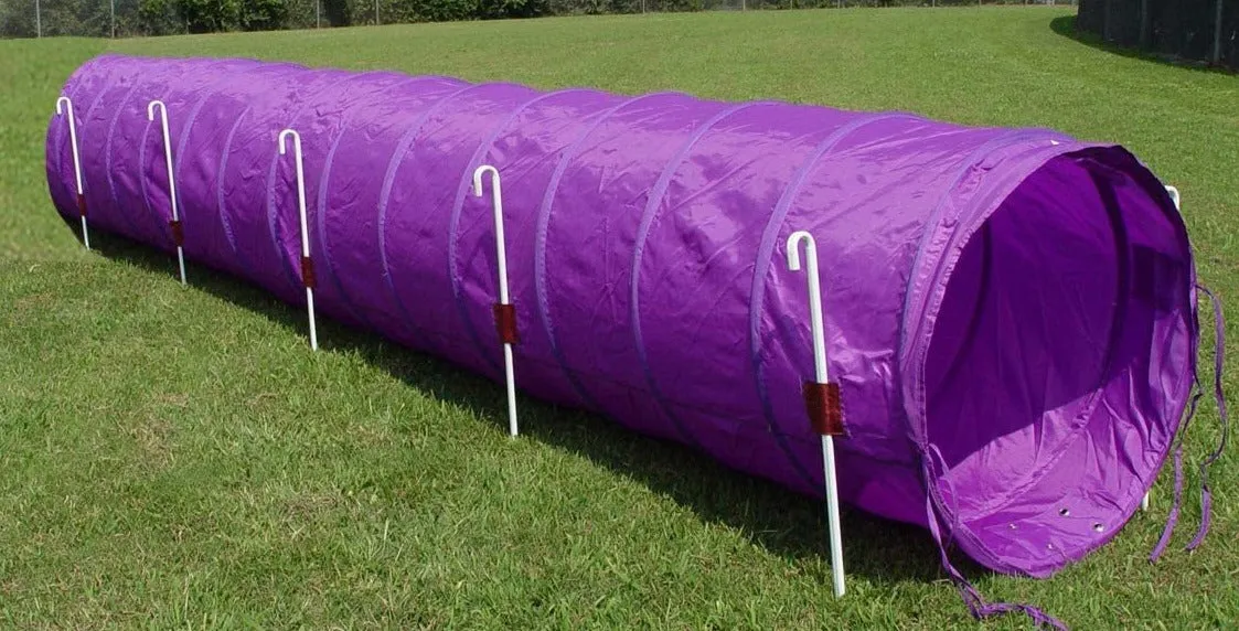 14' Tunnel with Stakes and a Carry bag