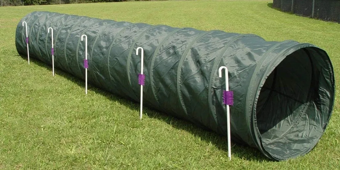 14' Tunnel with Stakes and a Carry bag