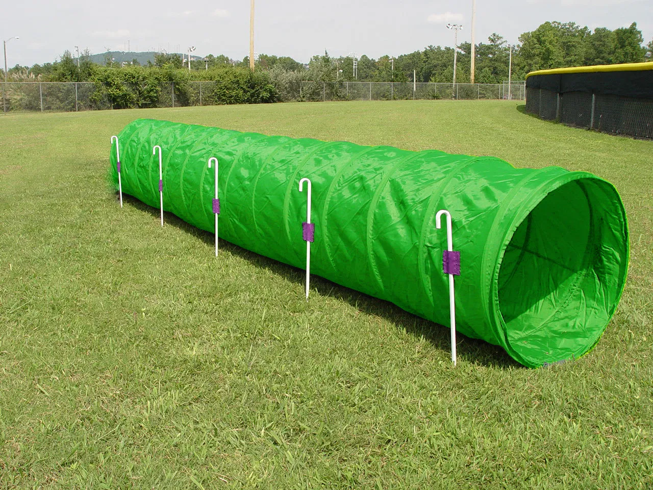 14' Tunnel with Stakes and a Carry bag