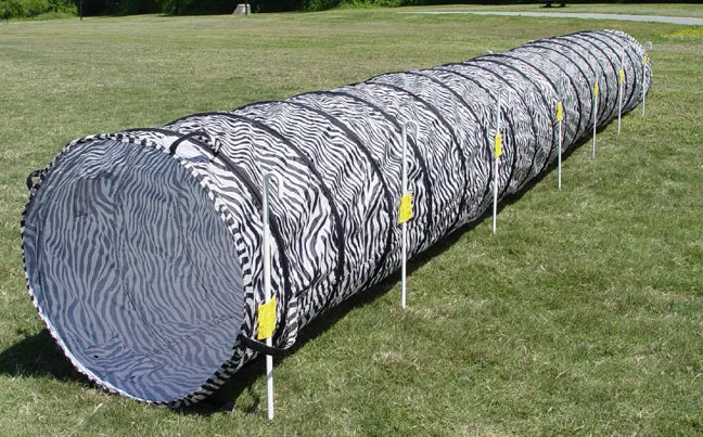 18' Tunnel with Stakes and a Carry Bag