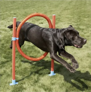 AGILITY HOOP JUMP