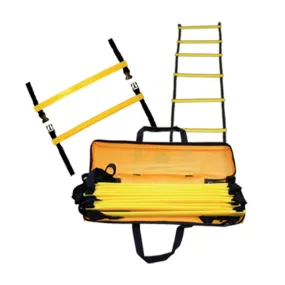 Agility Training Ladder