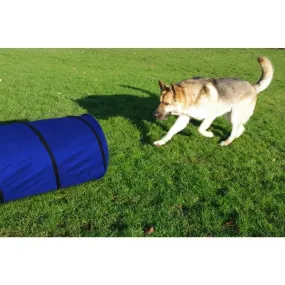 Agility Tunnel