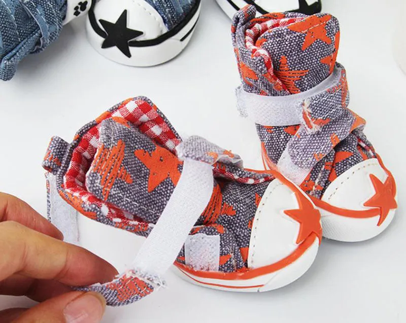 Dog shoes starfish canvas