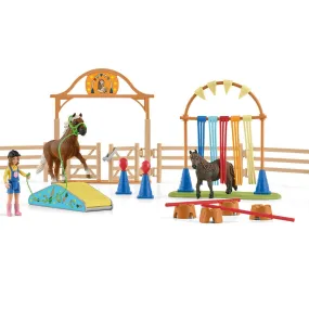 Pony Agility Training