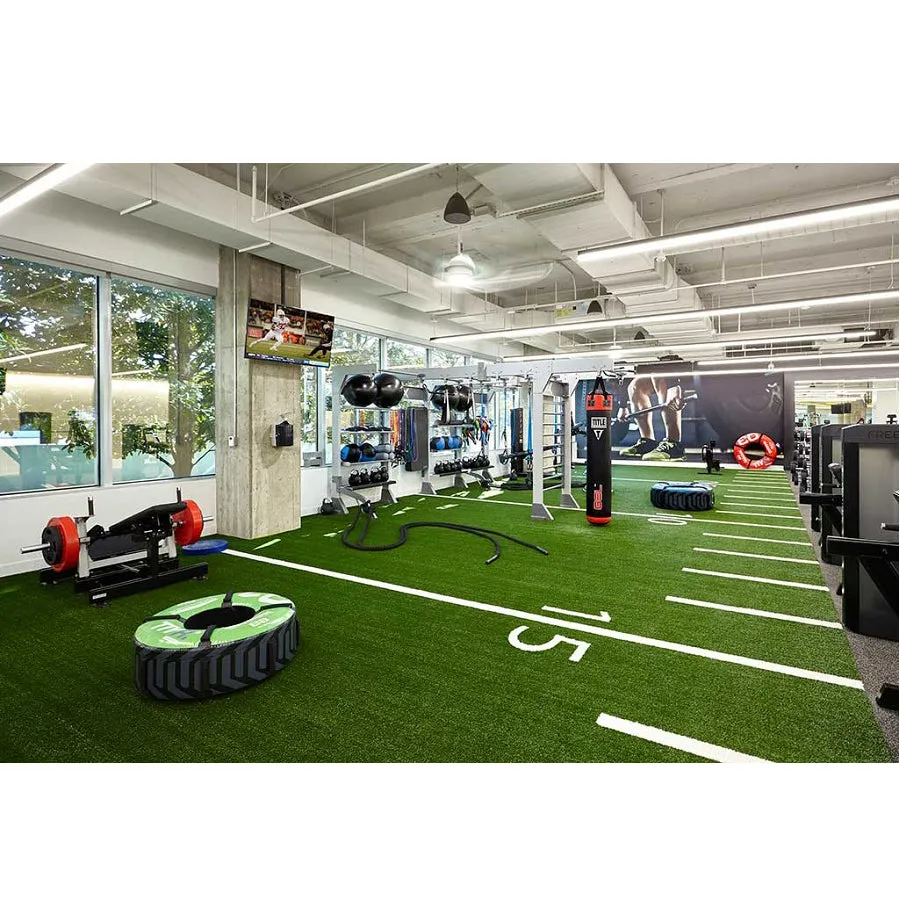Warrior Agility Turf